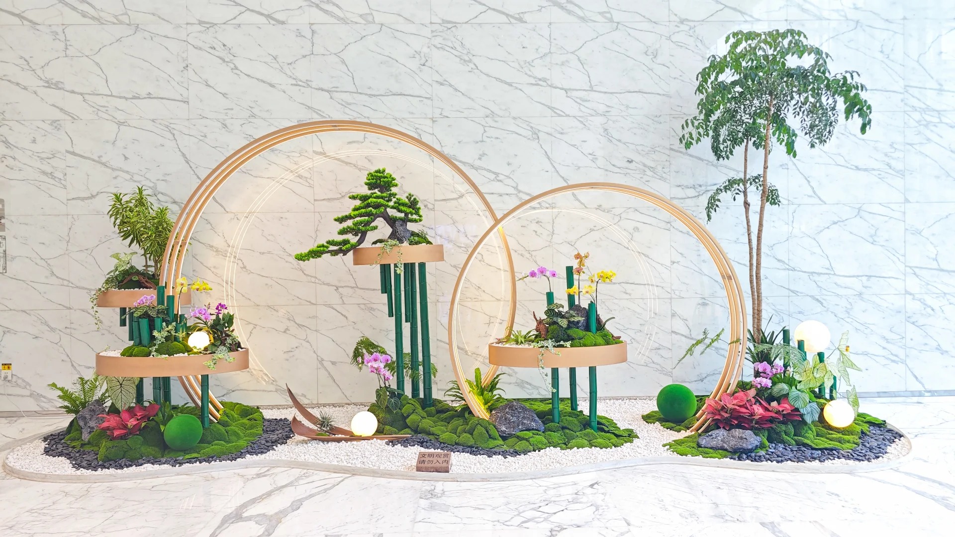 专业绿植租摆奉化,开启绿色生活篇章