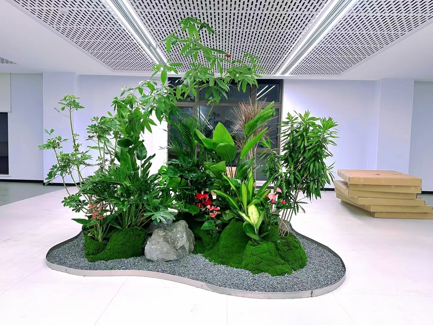 专业绿植租摆奉化,开启绿色生活篇章